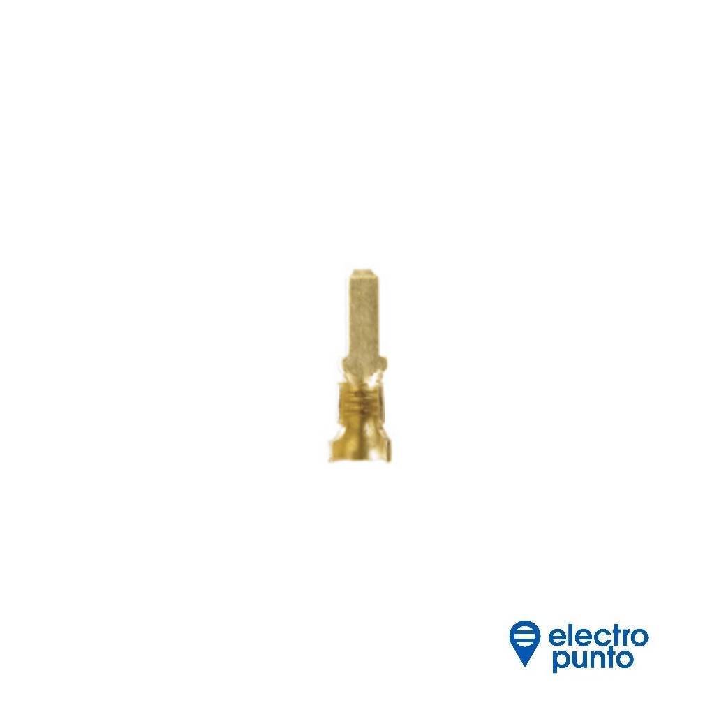 plantilla (1)