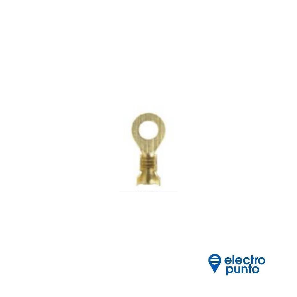plantilla (1)