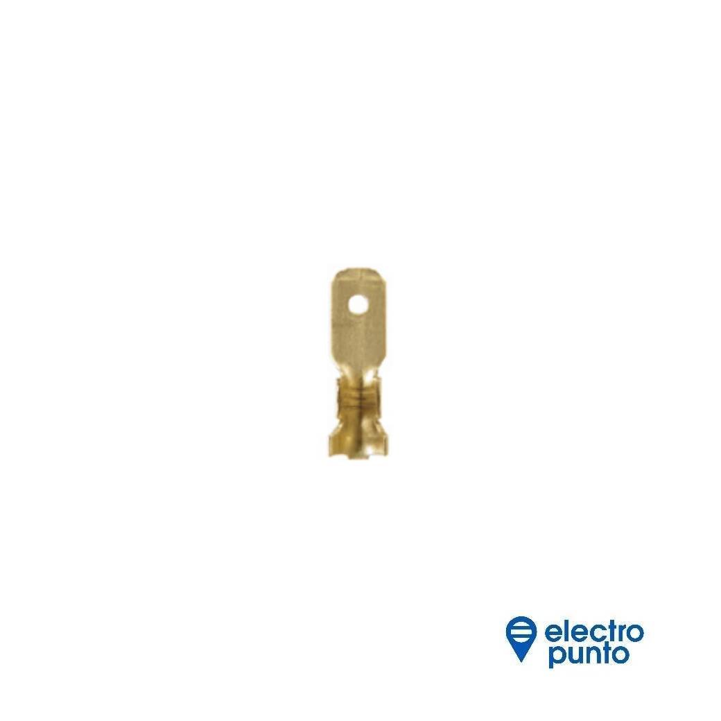 plantilla (2)
