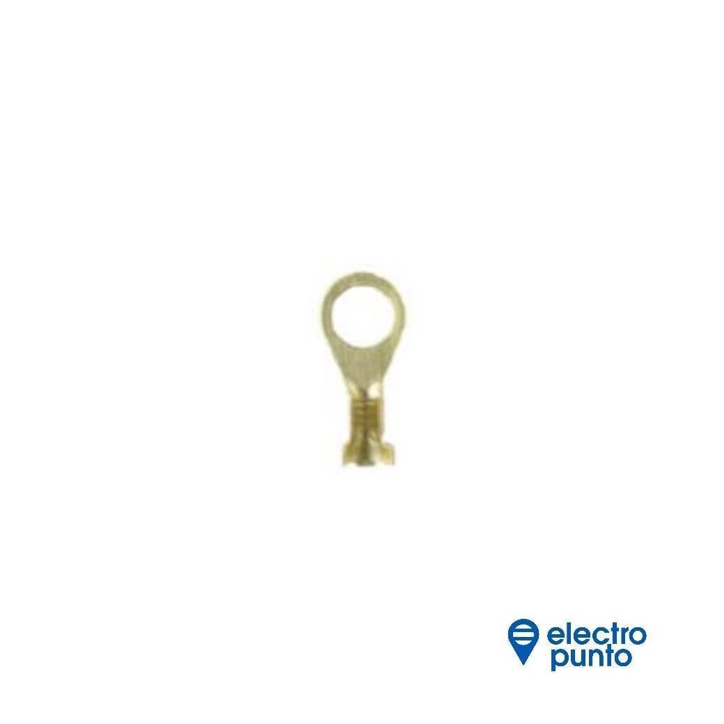 plantilla (3)